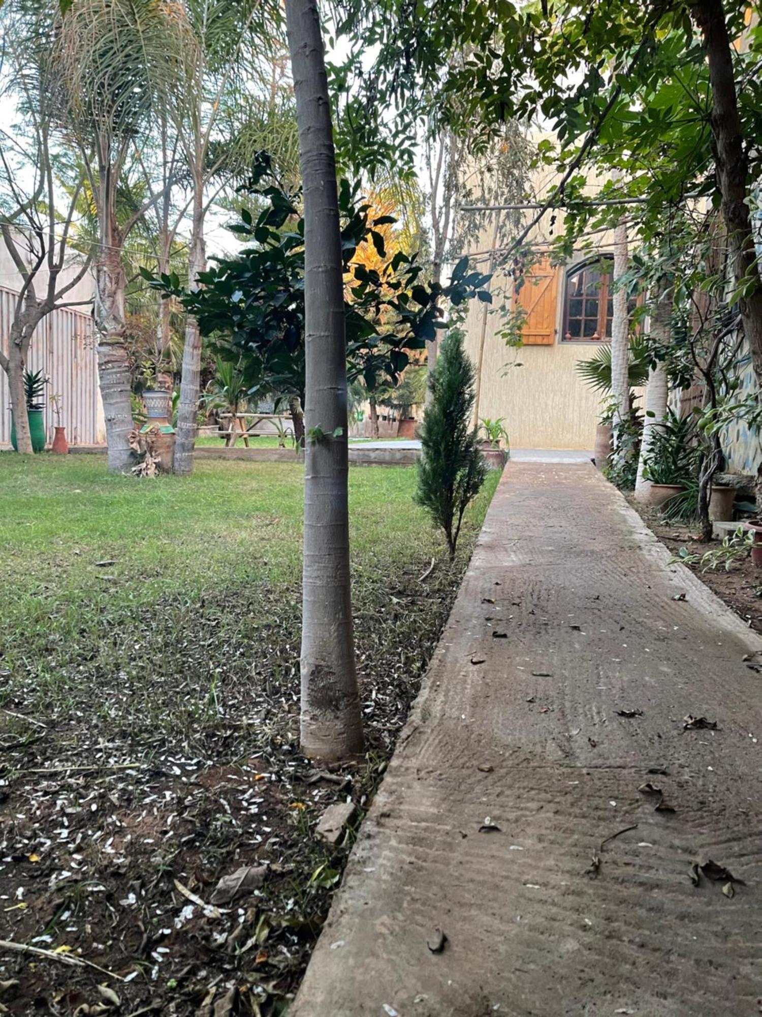 Riad Targante Takate 1 Sidi Bibi Dış mekan fotoğraf